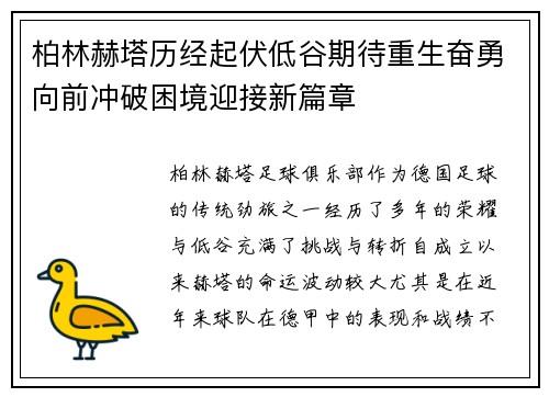 柏林赫塔历经起伏低谷期待重生奋勇向前冲破困境迎接新篇章