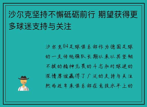 沙尔克坚持不懈砥砺前行 期望获得更多球迷支持与关注