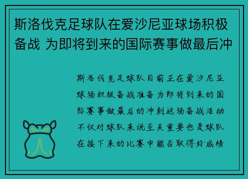 斯洛伐克足球队在爱沙尼亚球场积极备战 为即将到来的国际赛事做最后冲刺