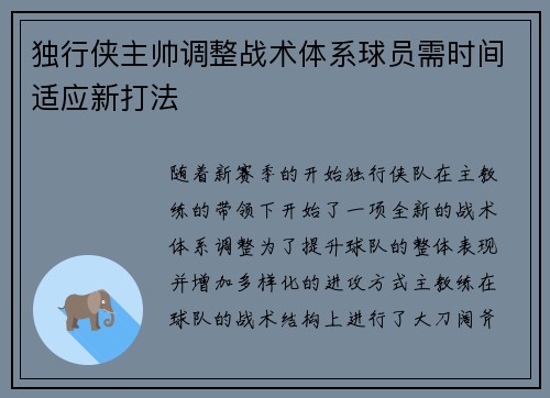 独行侠主帅调整战术体系球员需时间适应新打法