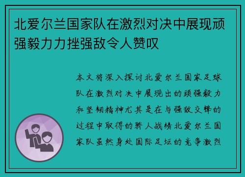 北爱尔兰国家队在激烈对决中展现顽强毅力力挫强敌令人赞叹