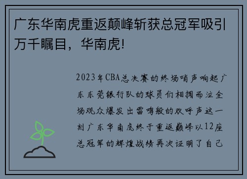 广东华南虎重返颠峰斩获总冠军吸引万千瞩目，华南虎!