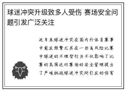 球迷冲突升级致多人受伤 赛场安全问题引发广泛关注
